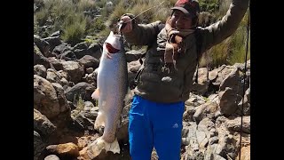 Videos De Pesca De Truchas Grandes