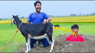 Must Watch New Special Comedy Video 2023 😎Totally Amazing Comedy Episode -271 By @beenfuntv