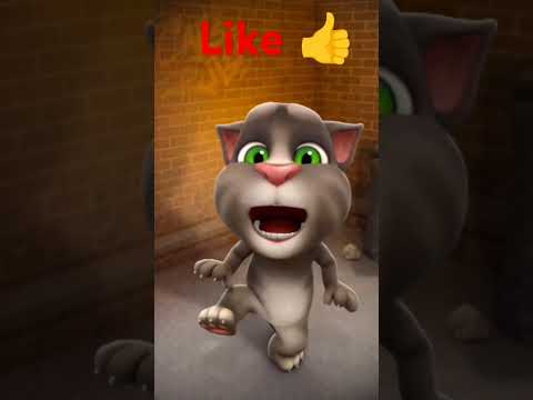 #shotu#videos #shoty#videos #catvideo 😹😹😹😹😹😿😿😿😿😽😽😽😽🙀🙀🙀🙀🙀🙀🙀🙀🙀😽