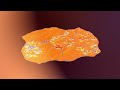 Climate Animation