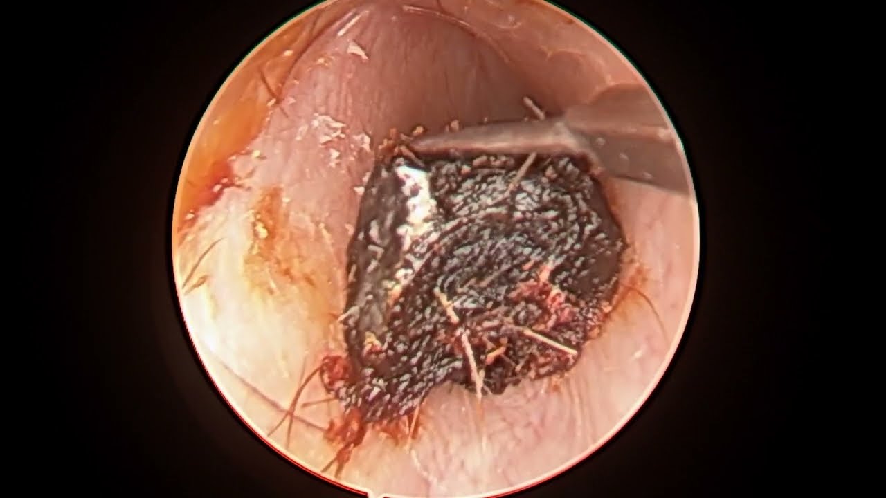 Natalia Camargo Vela-12