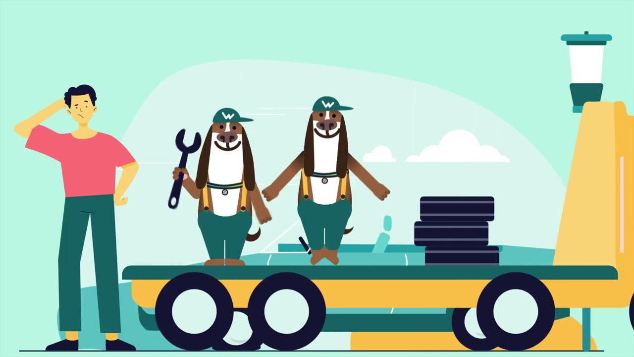 Whilli Whilli - explainer видео