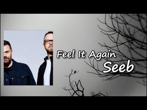 Seeb, Dan Caplen, Svidden - Feel It Again (Lyric Video)