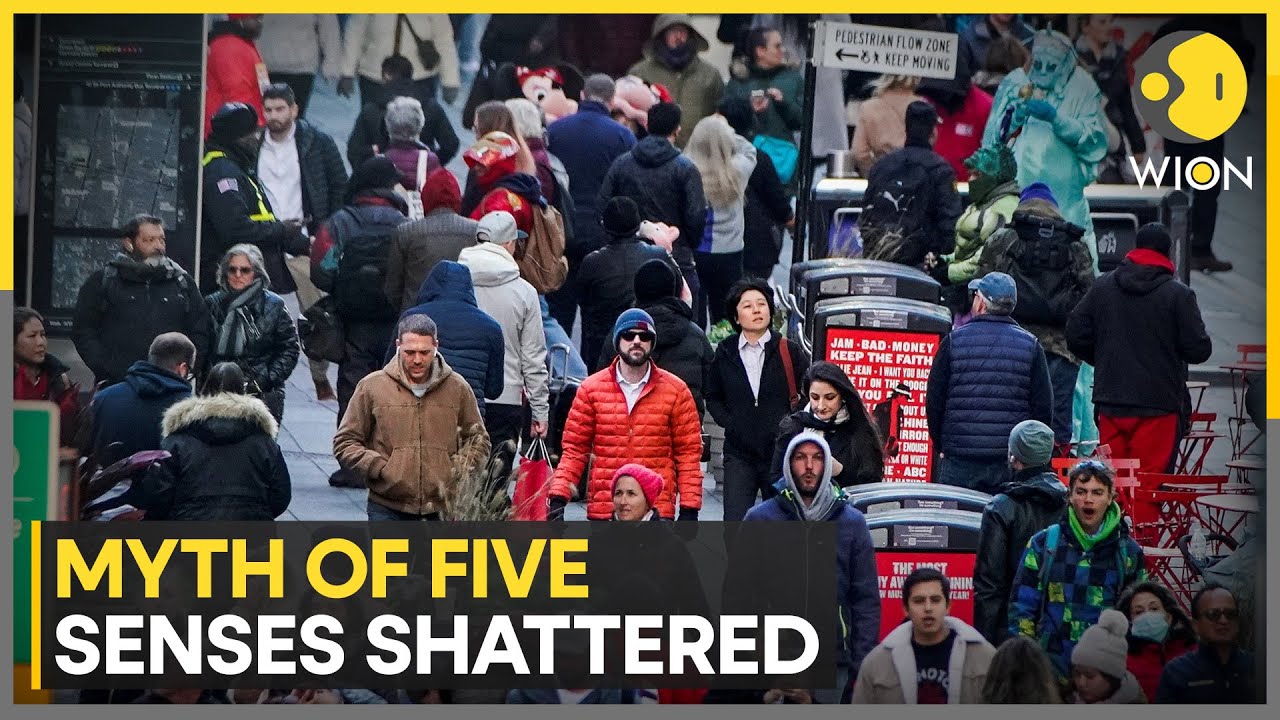 Scientists: Humans May Possess More Than Five Senses | WION