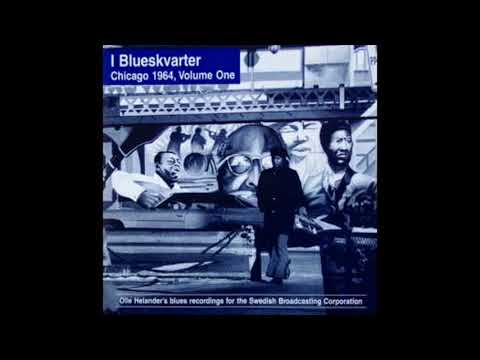 Mean Mistreater - Walter Horton (w/Robert Nighthawk)