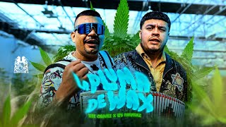Los Farmerz x Tite Chavez - La Pluma De Wax [En Vivo]