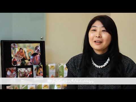 Sunny Miracle Documentary