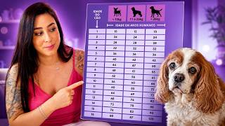 QUANTOS ANOS SEU CACHORRO TERIA SE ELE FOSSE HUMANO? Coloquei a tabela pronta no vídeo!