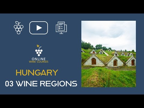 03 Wine Regions | Hungary 🍇Online Wine Courses ➡️ with QUIZ