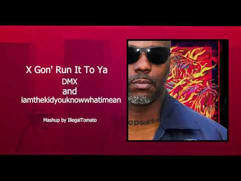 DMX x iamthekidyouknowwhatimean - X Gon' Run It To Ya