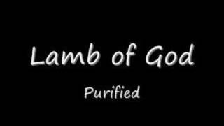 Lamb of God - Purified
