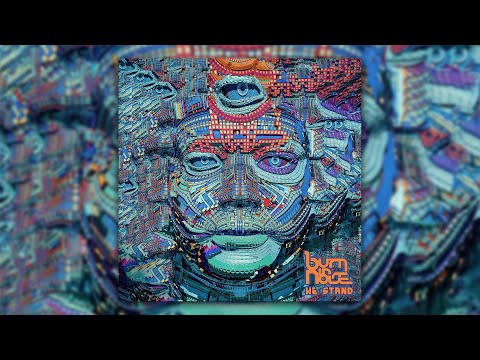 Burn in Noise Vs Ace Ventura - Who Are We