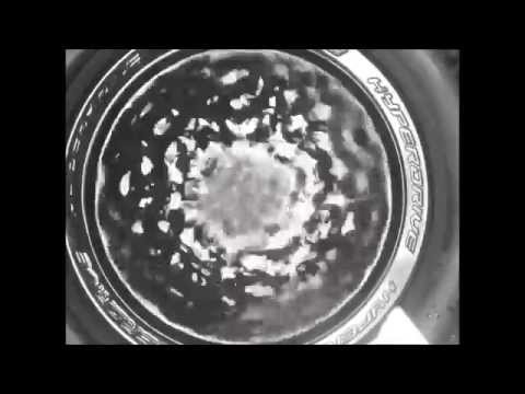 download lagu mp3 mp4 Water Sound Image 432 Hz, download lagu Water Sound Image 432 Hz gratis, unduh video klip Water Sound Image 432 Hz