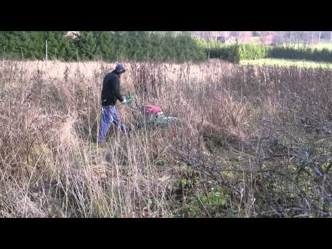 Billy Goat Outback BC 2600HH  Helsinki tervalamminkartano