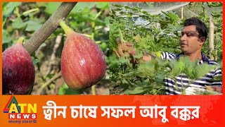 ত্বীন ফল চাষের সাফল্য