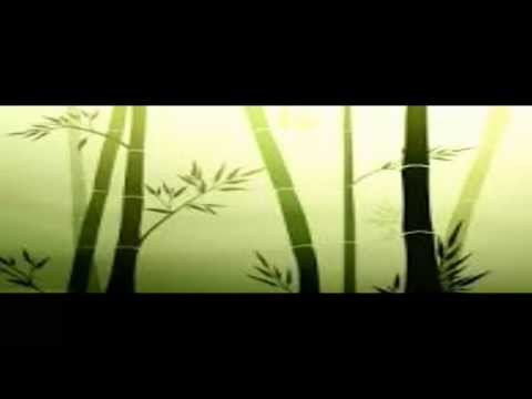 BAKEA INTERNOKI...-PANTAILAKO FILMA...-ETA PROIEKTOREA?