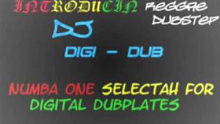 jungle/reggae/dubstep mix dj digi dub