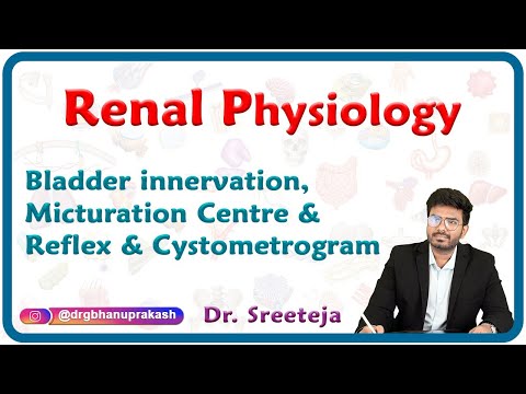 Bladder innervation, Micturation centre & Reflex and Cystometrogram : Renal physiology USMLE Step 1