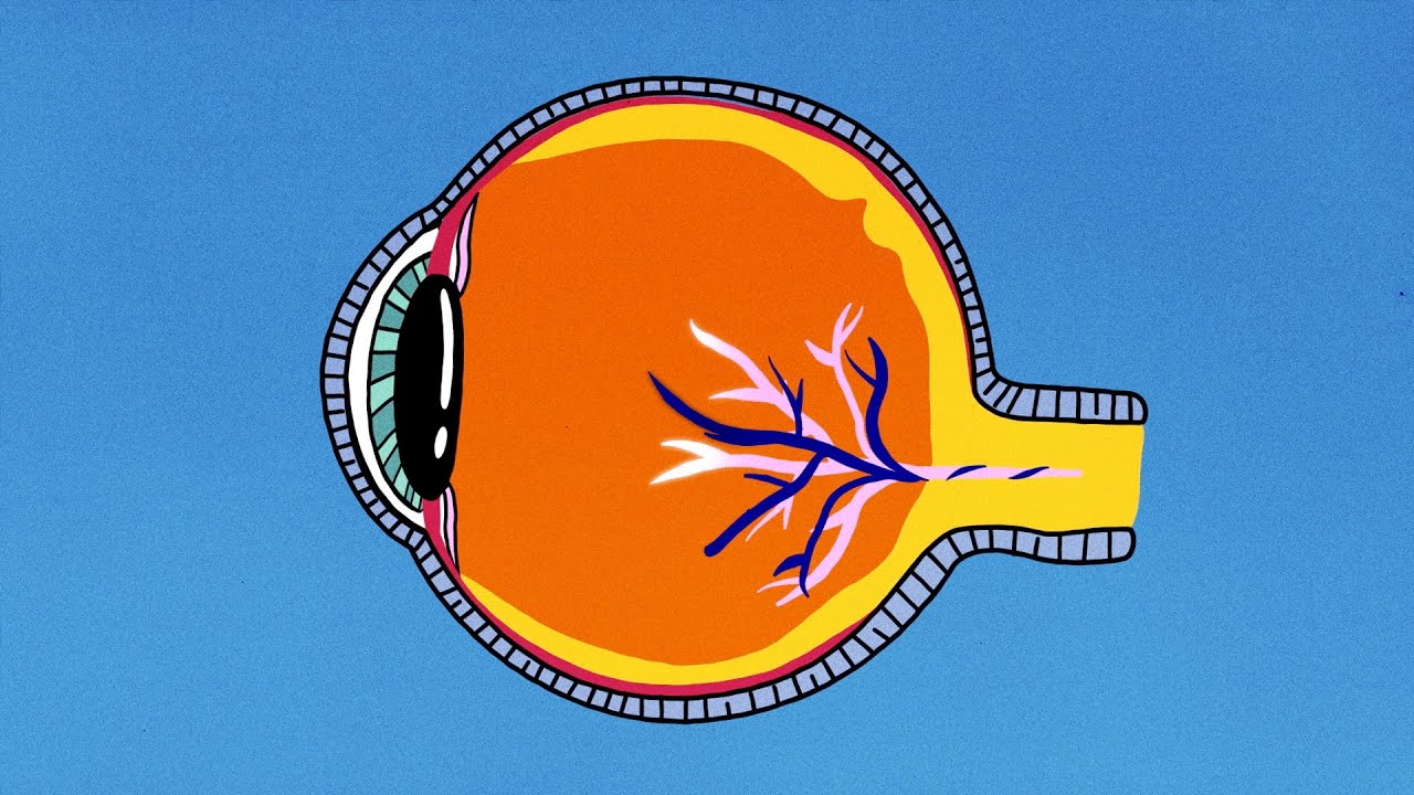 Optical Coherence Tomography: A new way of seeing