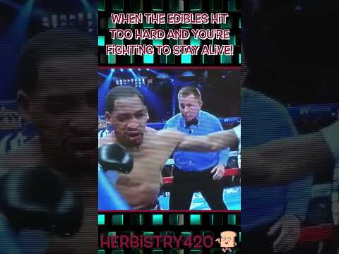 When the Edibles Hit Meme — 5 Stages of Pure Chaos