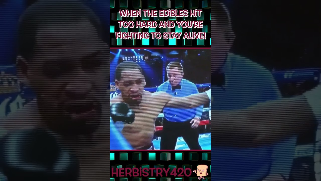 When the Edibles Hit Meme — 5 Stages of Pure Chaos