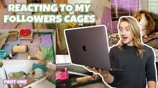 REACTING TO MY FOLLOWERS GUINEA PIG CAGES 🐽 ✨