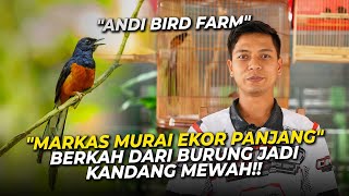 Download lagu Shock Karena Kemalingan! Peternak Murai Ekor Panjang Ini Buktikan Tidak Menyerah Itu Membawa Berkah! mp3
