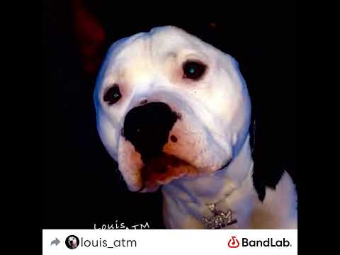 Louis ATM- Studio Poetry (Prod. demars)