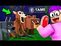 We Tamed EVERY Animal In 99 Nights In The Forest Roblox