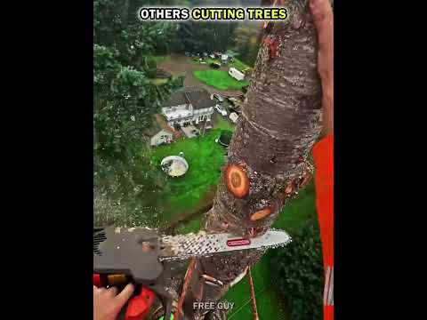 Normal People Cutting Trees vs King of Destruction ☠️