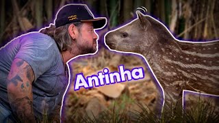 Miniatura do vídeo