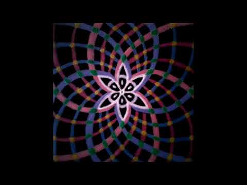 Progressive Toroidal Network (Jaw Harp Psytrance)