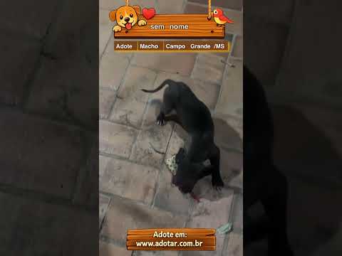 Vídeo de sem nome