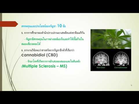 ผลกระทบใน mexidol แรง ชายแรงแช่สมุนไพร