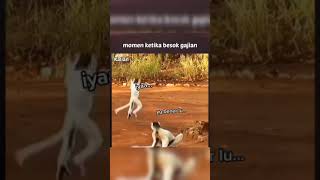 Download lagu Video lucu momen ketika besok gajian || story wa mp3