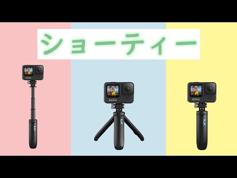 GoPro AFTTM-001 ショーティー