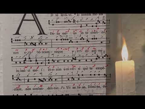 Introitus zum 1. Adventsonntag