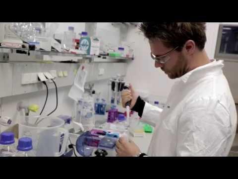 Neue chemische Verbindung zur Erleichterung der Geburt entwickelt