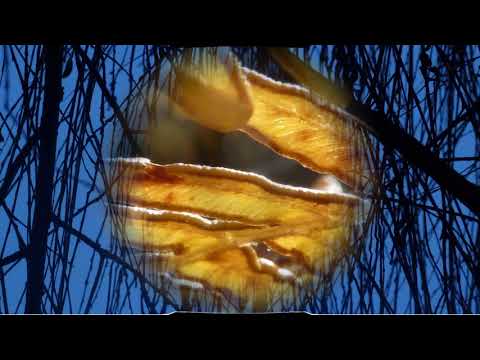 Valse à 5 Temps et pédale de boucle