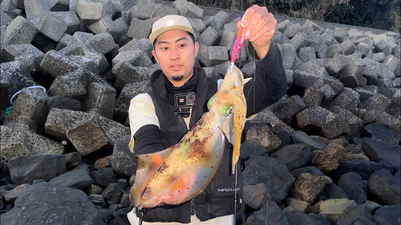 【春イカ　エギング】渋い1日はこのタイミングに集中してみてください。