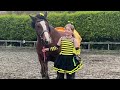 JESS And BARNEY Horse Riding