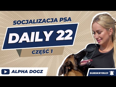 SOCJALIZACJA PSA cz.1 Daily 22. Alphadogz.pl