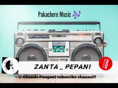 Zanta _ Pepani _ Official Music 🎶 
