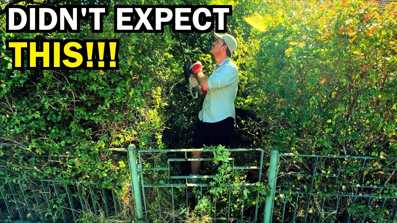 You won’t BELIEVE what was HIDDEN Behind this GATE - Home owner SHOCKED!