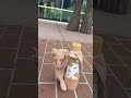 Groot - he’s just a baby