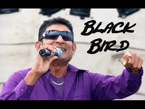 Omardath Maraj feat. Raymond Ramnarine & Black Bird - (2016 Chutney Soca)