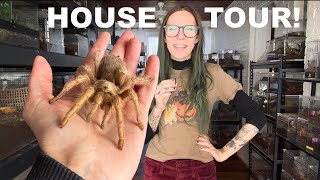 My SPIDER ROOM & House TOUR! ALL my PETS! Arachnids, Snakes, Chickens & MORE! UPDATE Oct 2025