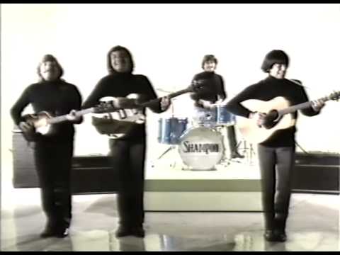Shampoo - Peppe (Beatles-Cover-Help!)