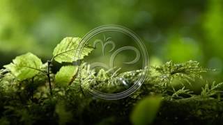 Dave DK - Smukke Lyde (Original Mix)