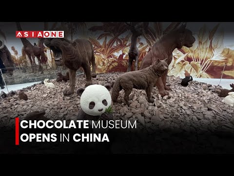 Chocolate Museum Opens in Tianjin, China | 10 Tonnes of Handmade Sculptures | Asia One News